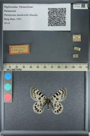 Media type: image;   Entomology 180350